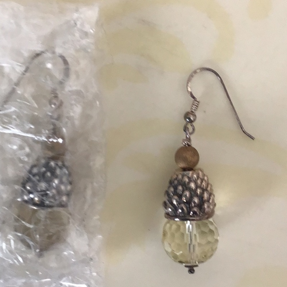 Pair of exquisite earrings NWOT